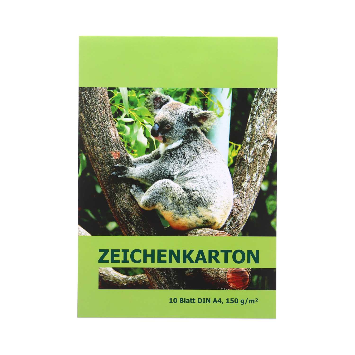 Zeichenkarton DIN A4 150 g/m² 10 Blatt