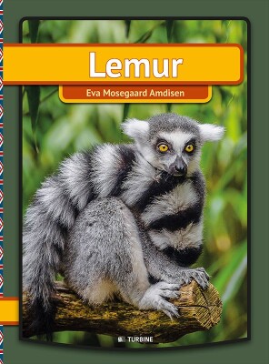 Lemur - Engelsk Version - Eva Mosegaard Amdisen - English Book