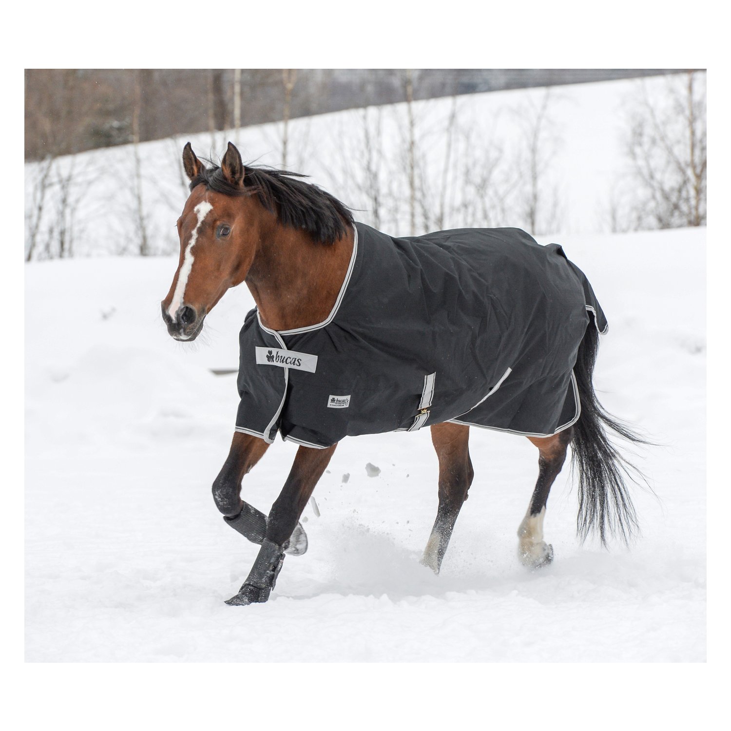 bucas Outdoordecke Anniversary Black Turnout Light - black
