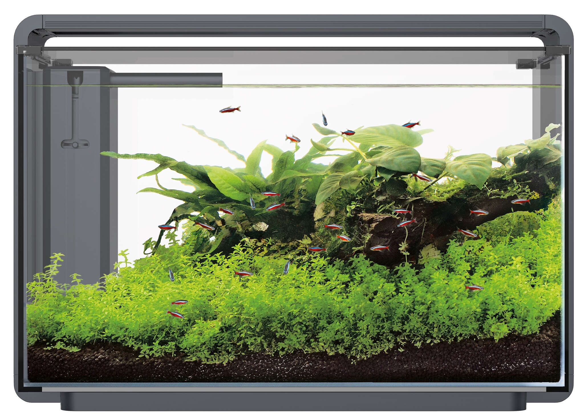 Home ProLED 65 Aquarium Zwart