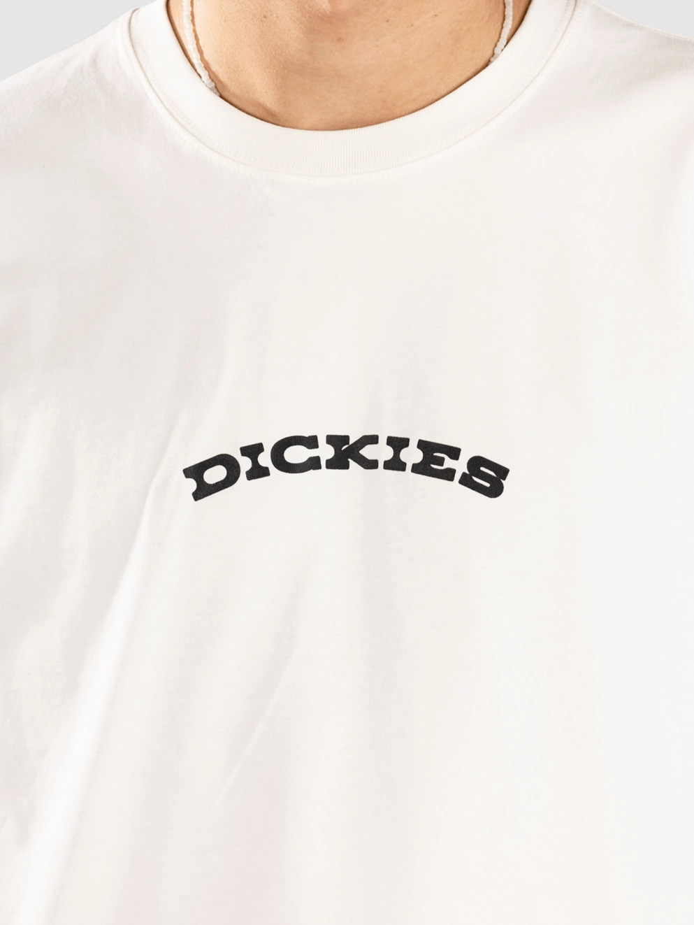 Dickies Outdoor T-Shirt egret