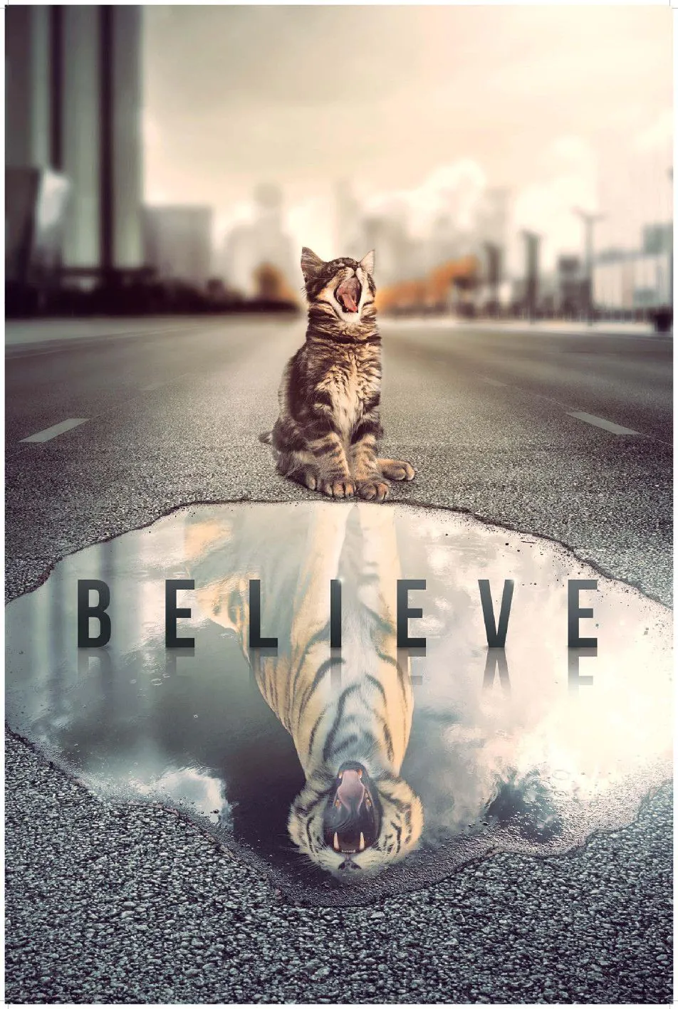 Poster Set Your Mind, 61 x 91 cm