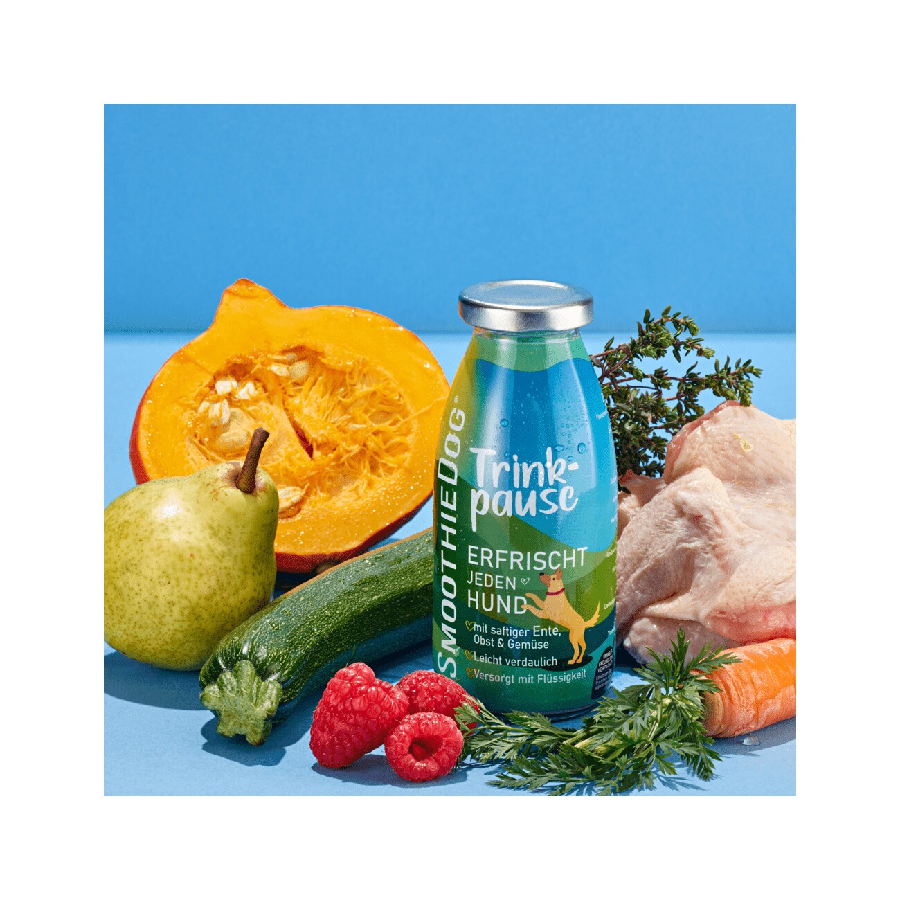 SmoothieDog Trinkpause 6x250 ml