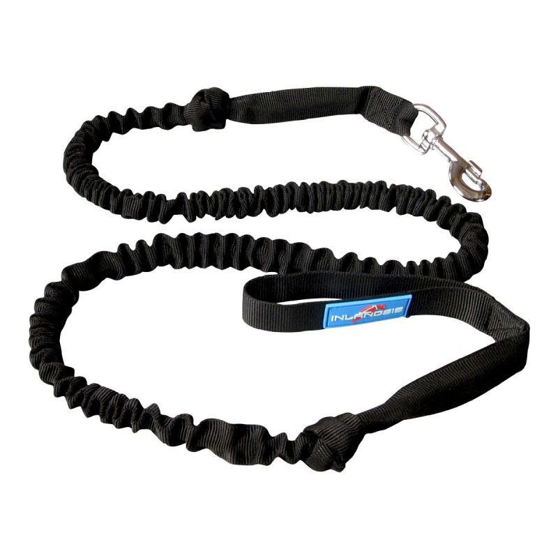 Bikejor Leash - Laisse pour chien