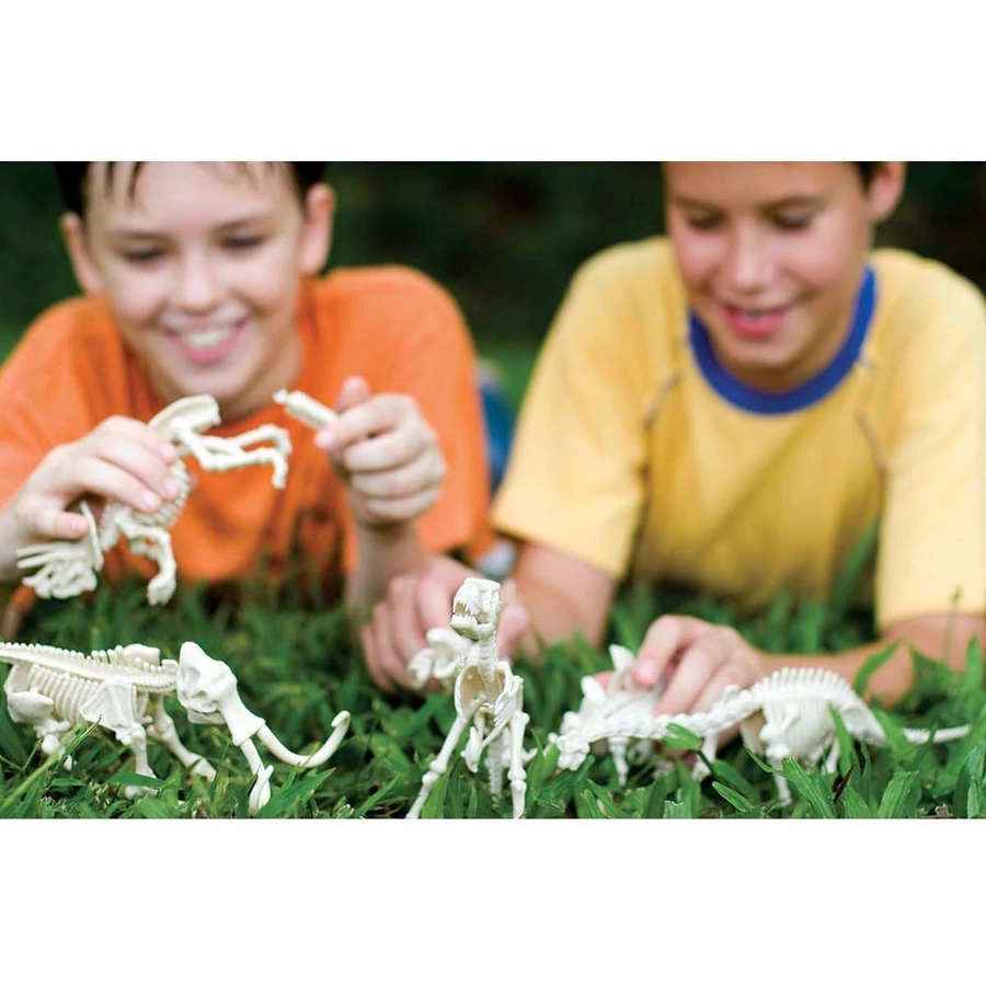 4M KidzLabs - Dinosaurier Ausgrabung Velociraptor Mehrfarbig