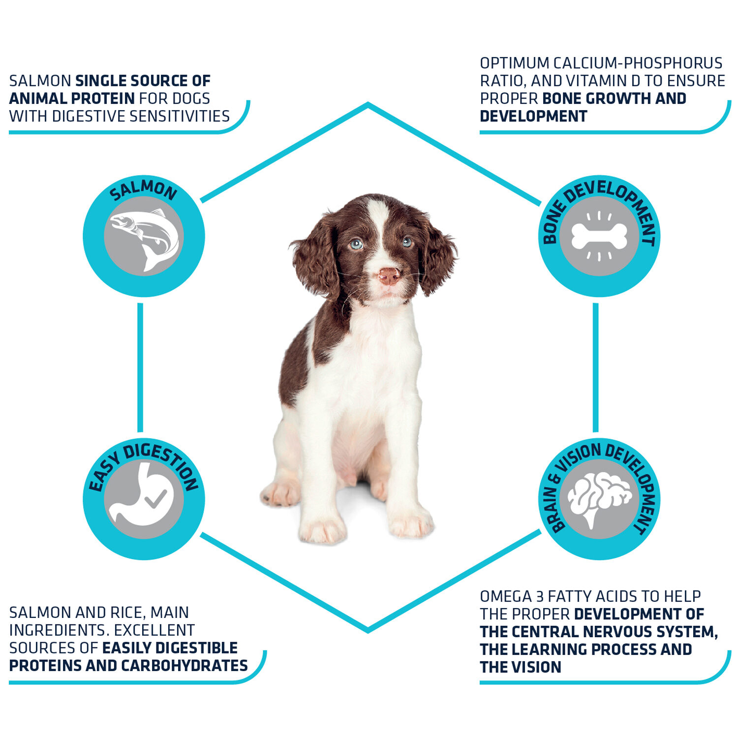 Affinity Advance Puppy Sensitive Zalm en Rijst