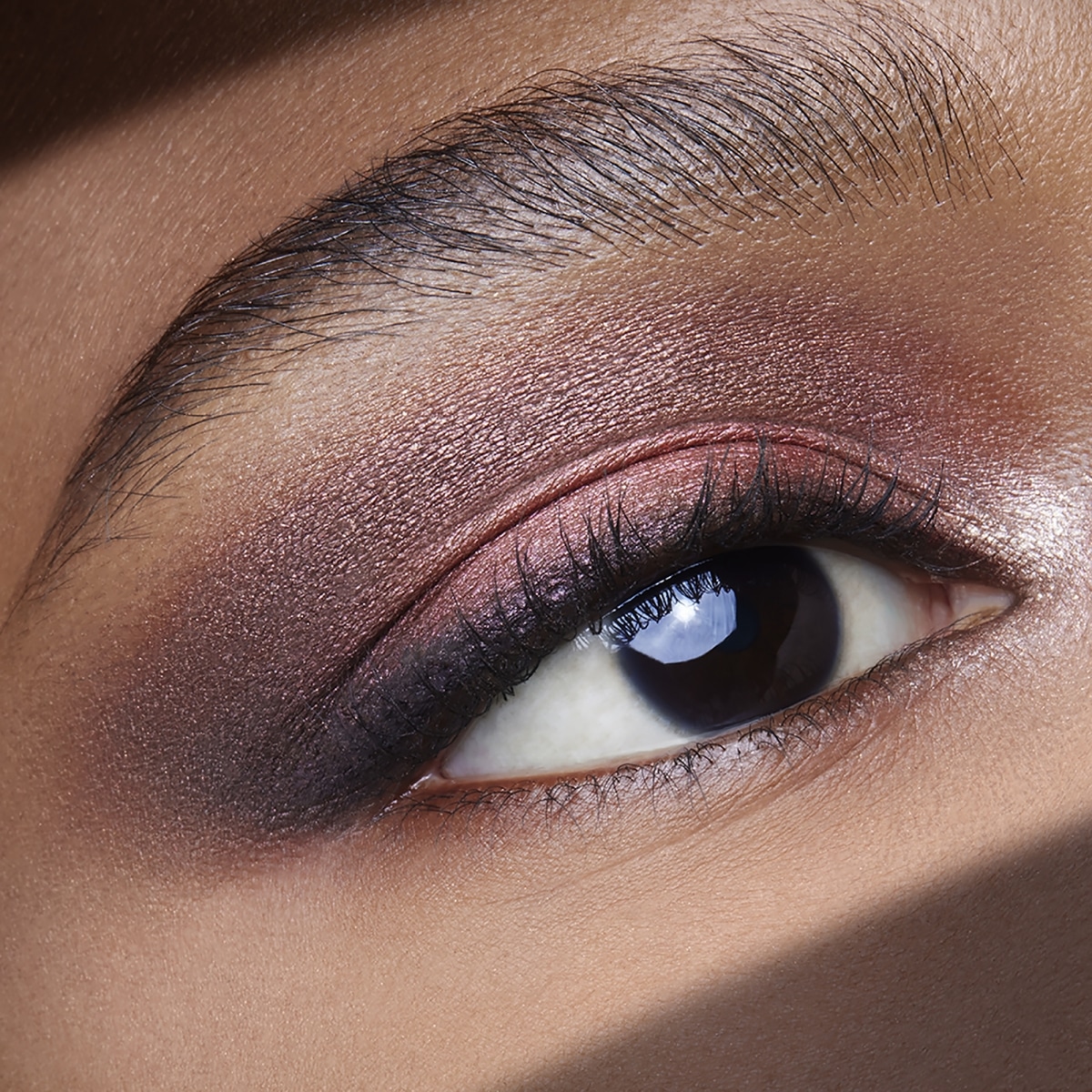 ESTEE LAUDER Pure Couleur Envy Ombres à paupières Sculptantes