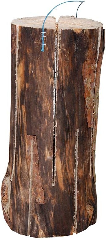 Esschert Design Zweedse fakkel Fancy Flames D 15 H 50 cm