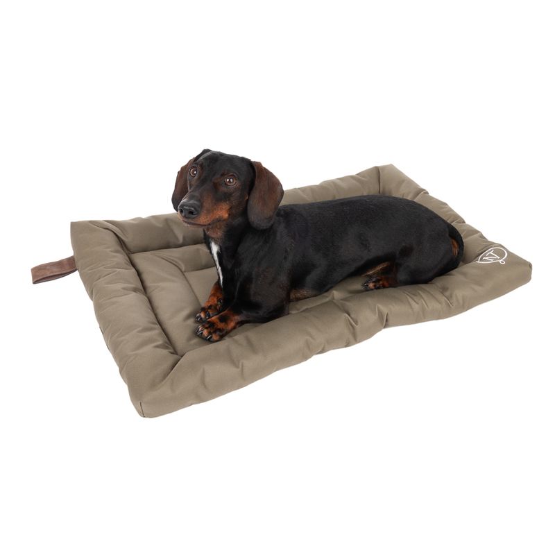 Coussin Nomad Tales Spirit Outdoor Pine