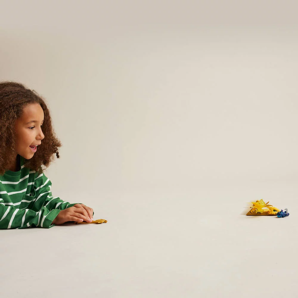 LEGO®NINJAGO® 71803 - L’ATTAQUE DU DRAGON REBELLE D’ARIN