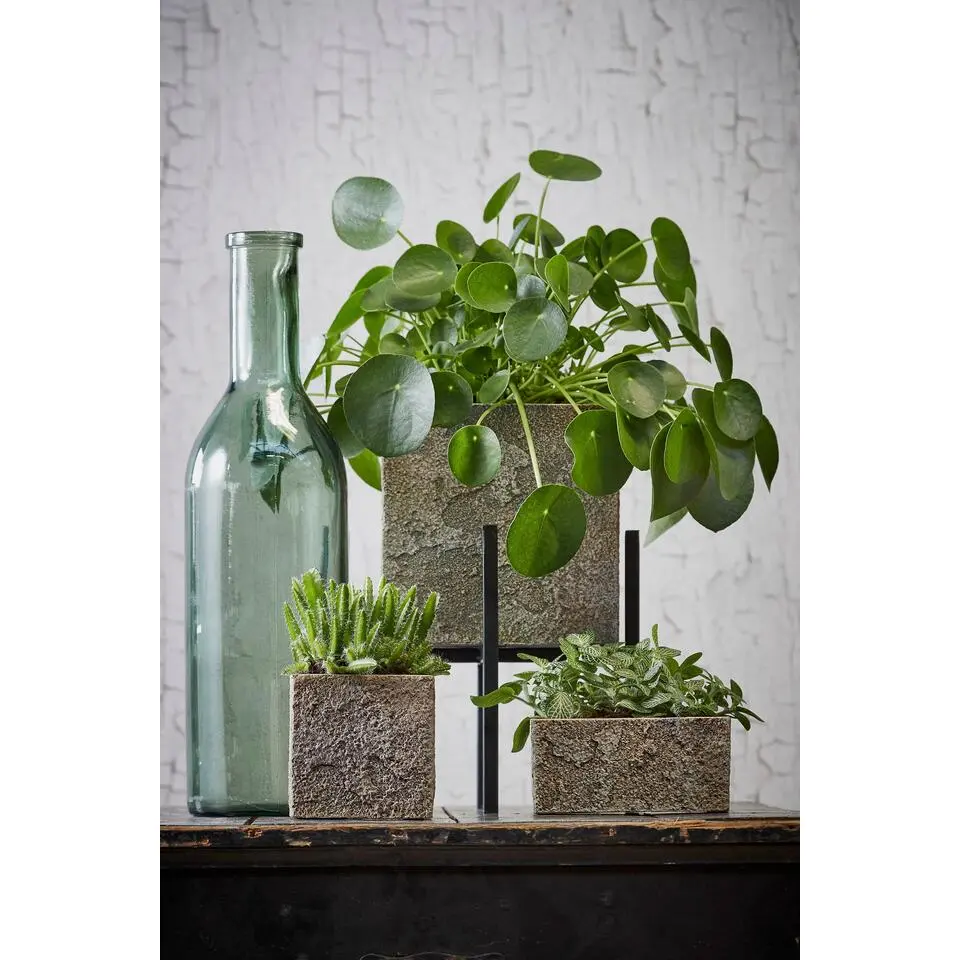 Vaas fles - grijs - transparant - glas - 15 x 50 cm