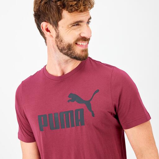 Puma Big