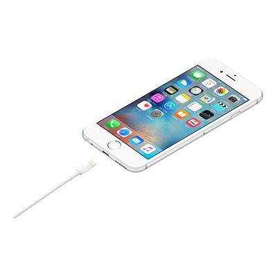 Apple câble Lightning - Lightning / USB - 1 m