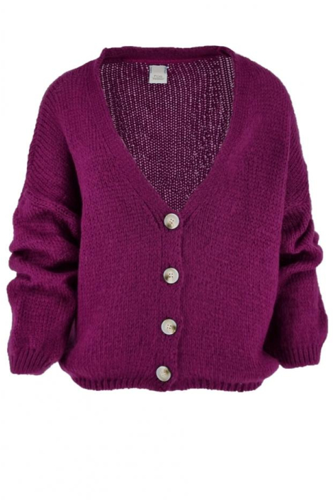 FOS Amsterdam paarse dames vest