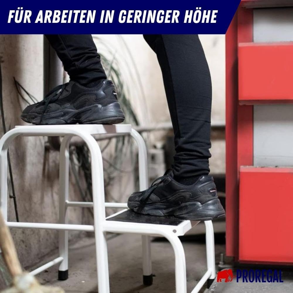 PROREGAL Opstapje met antislip rubberen mat Economy Basic Enkelzijdige toegang 2 treden Hoogte 46 cm Draagvermogen 150 kg