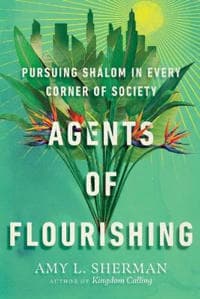 Agents of Flourishing – Pursuing Shalom in Every Corner of Society