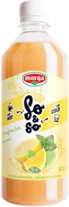 Morga So&So Zitrusfrüchte Konzentrat Bio