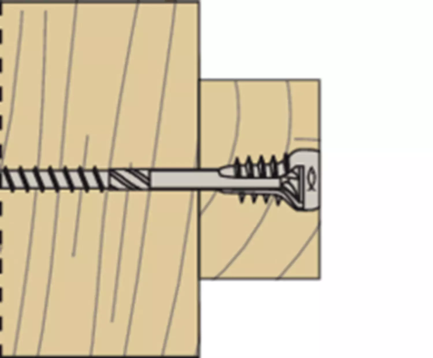 Fischer 558879 Stelschroef TX25 - FAFS 5 x 80 (100st)