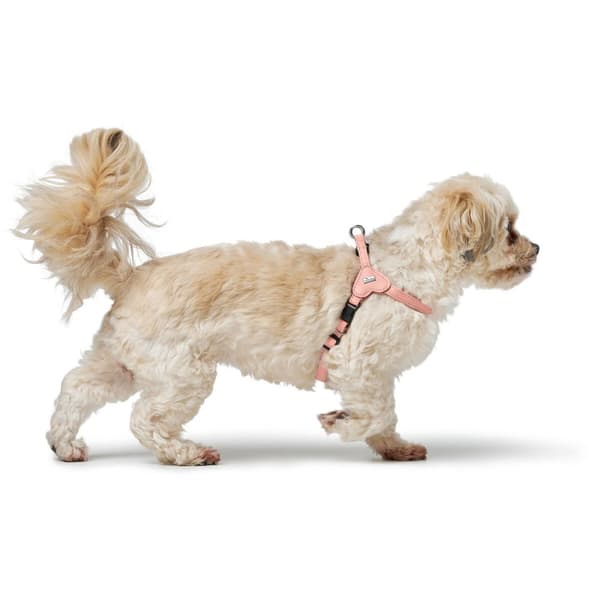 Hundesele Hunter SOHO MINI Rosa XS