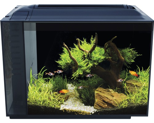 Aquarium Fluval Spec XV 60L met LED-verlichting en filtersysteem, zwart
