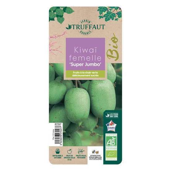 Kiwaï 'Super Jumbo' femelle bio : pot de 1,5 litres