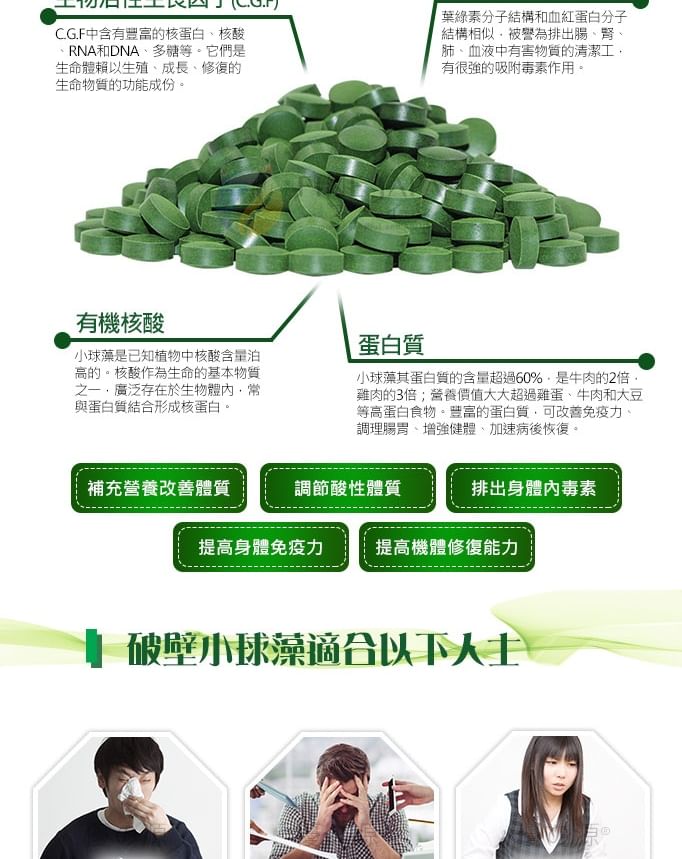 FINE JAPAN - Chlorella Tabletten