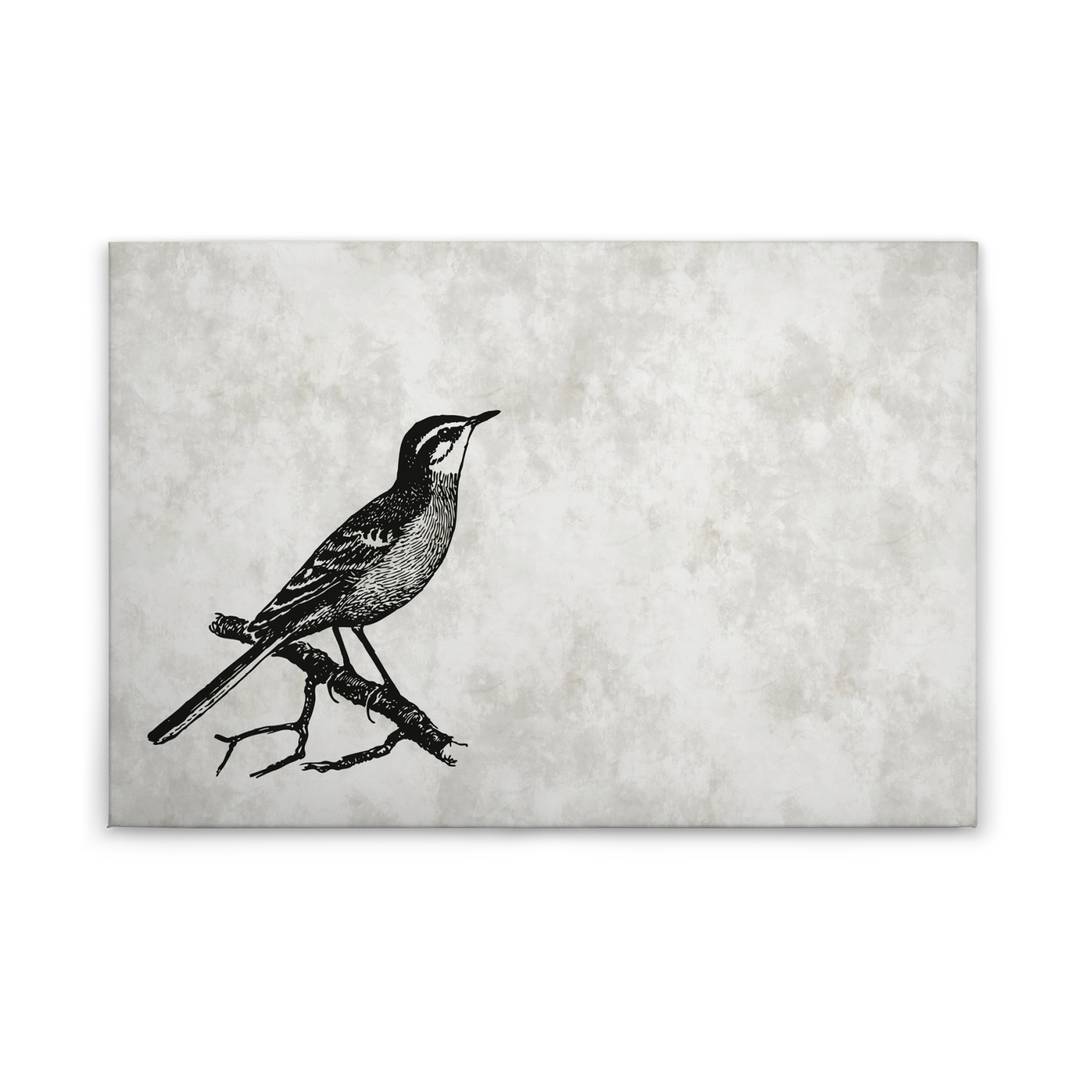 Leinwandbild VOGEL 1 - grau-schwarz - 90x60 cm