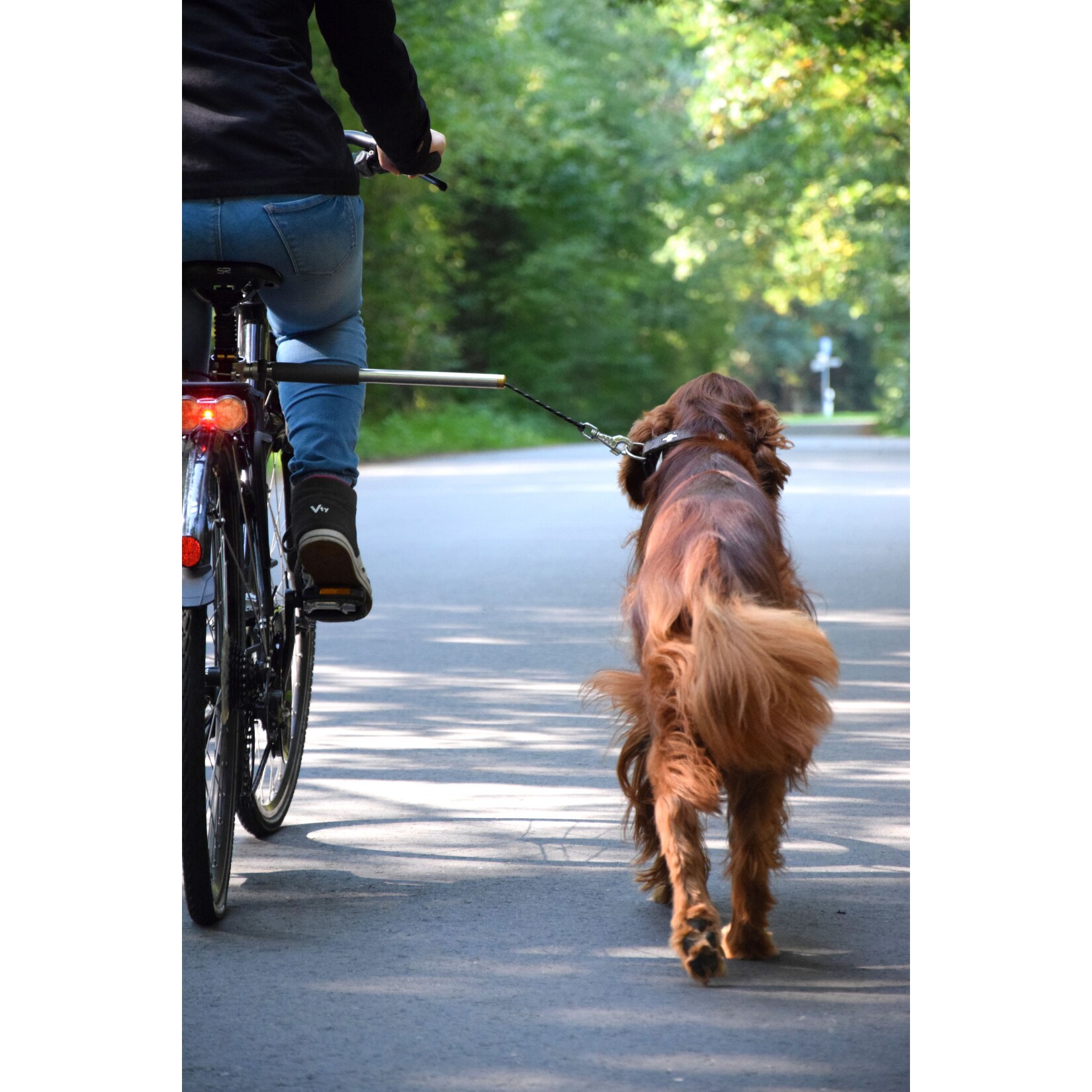 Dobar Walky Dog Plus Fahrradleine