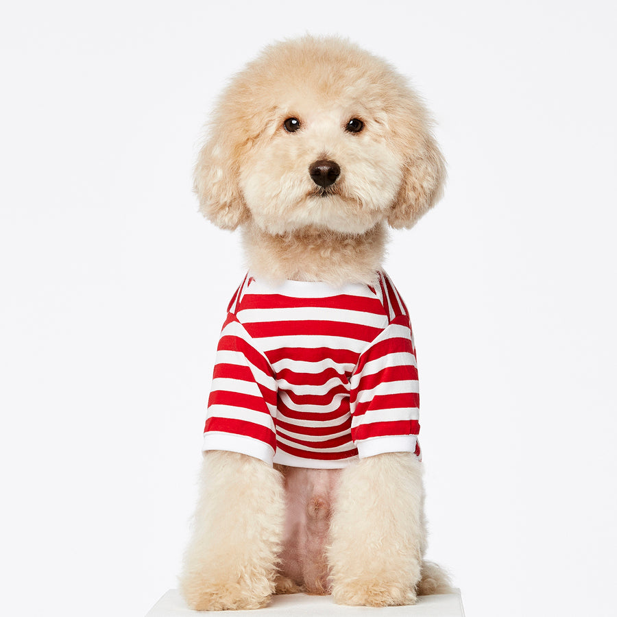 Camiseta David