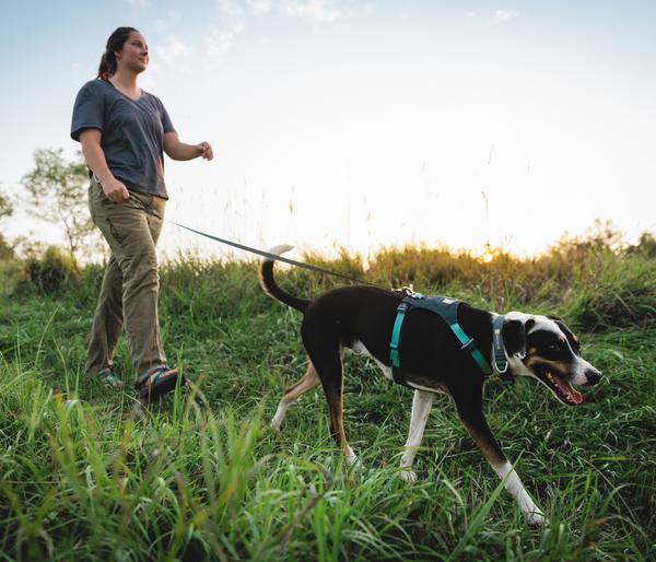 RUFFWEAR® Hundegeschirr Hi & Light™ Harness