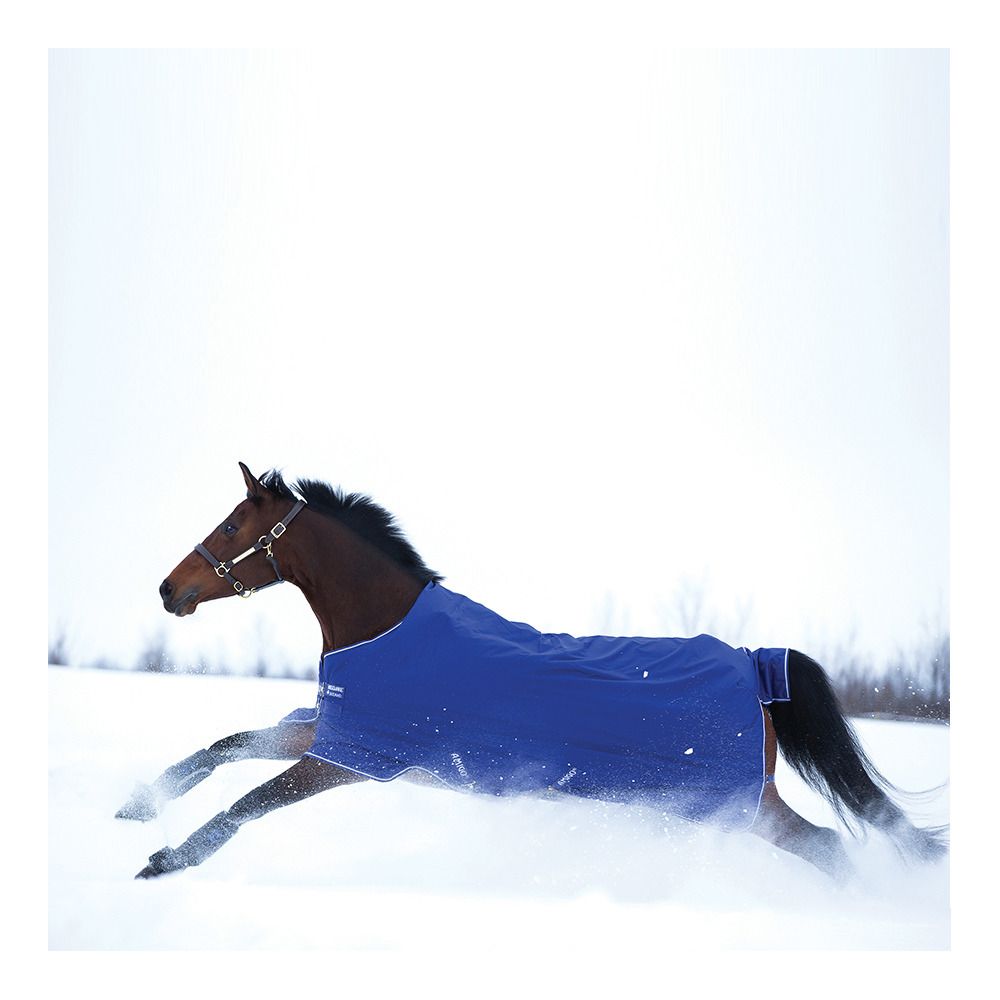 Horseware AMIGO® HERO 900D 200G - Couverture de paddock atlanticblue/abivory