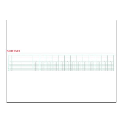 Exacompta - Piqûre comptable - 30 colonnes sur 2 pages - 25 x 32 cm - 80 pages