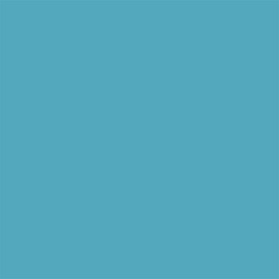 Peinture extérieure multi supports e garantie 8 ans Dulux Valentine satin bleu turquoise 0,5L
