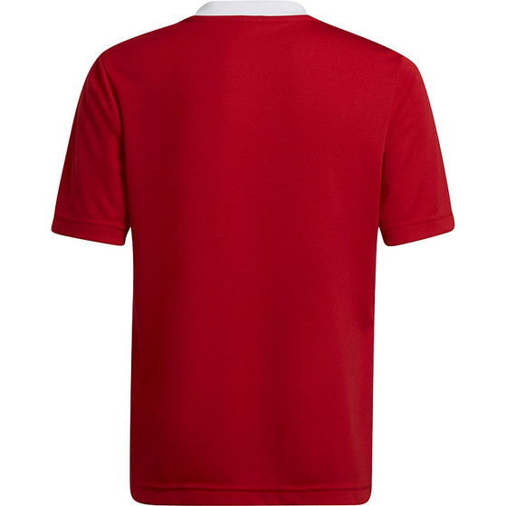 adidas Entrada 22 Training Shirt Kids