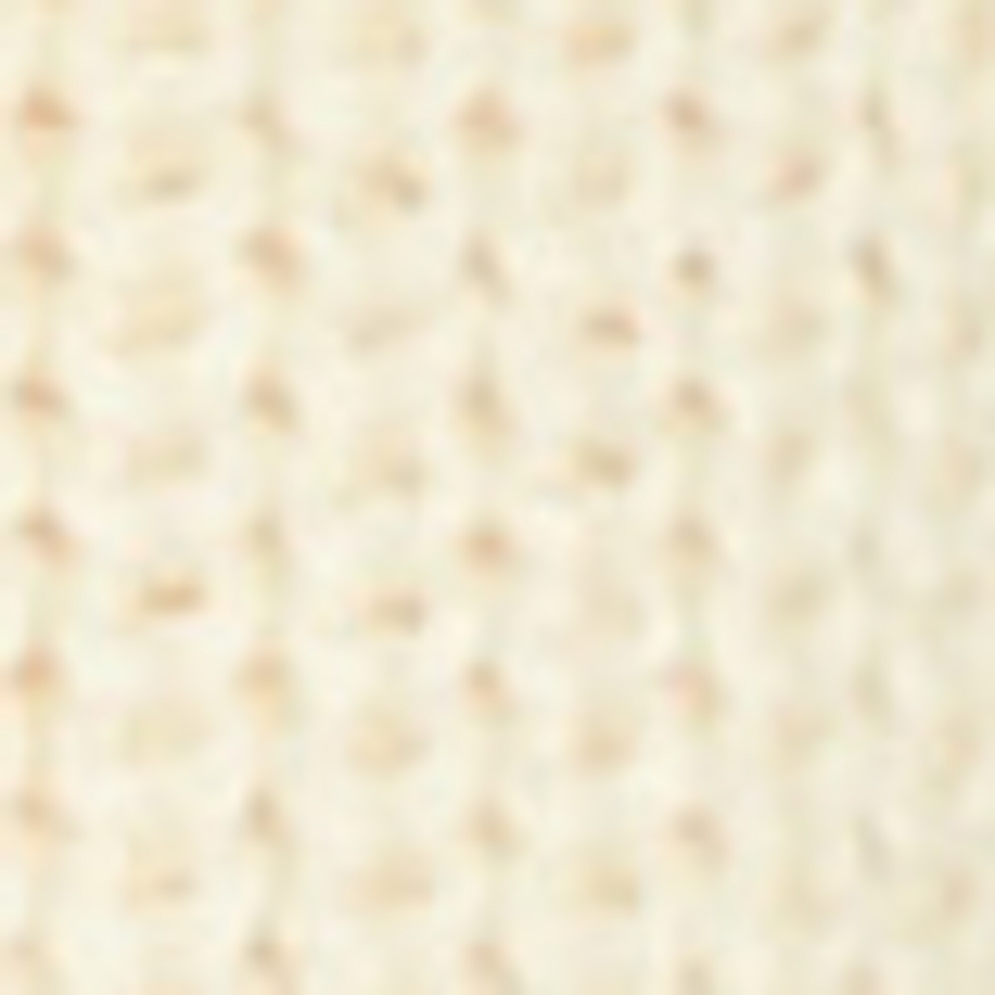DfC Pullover relaxed aus Organic Cotton