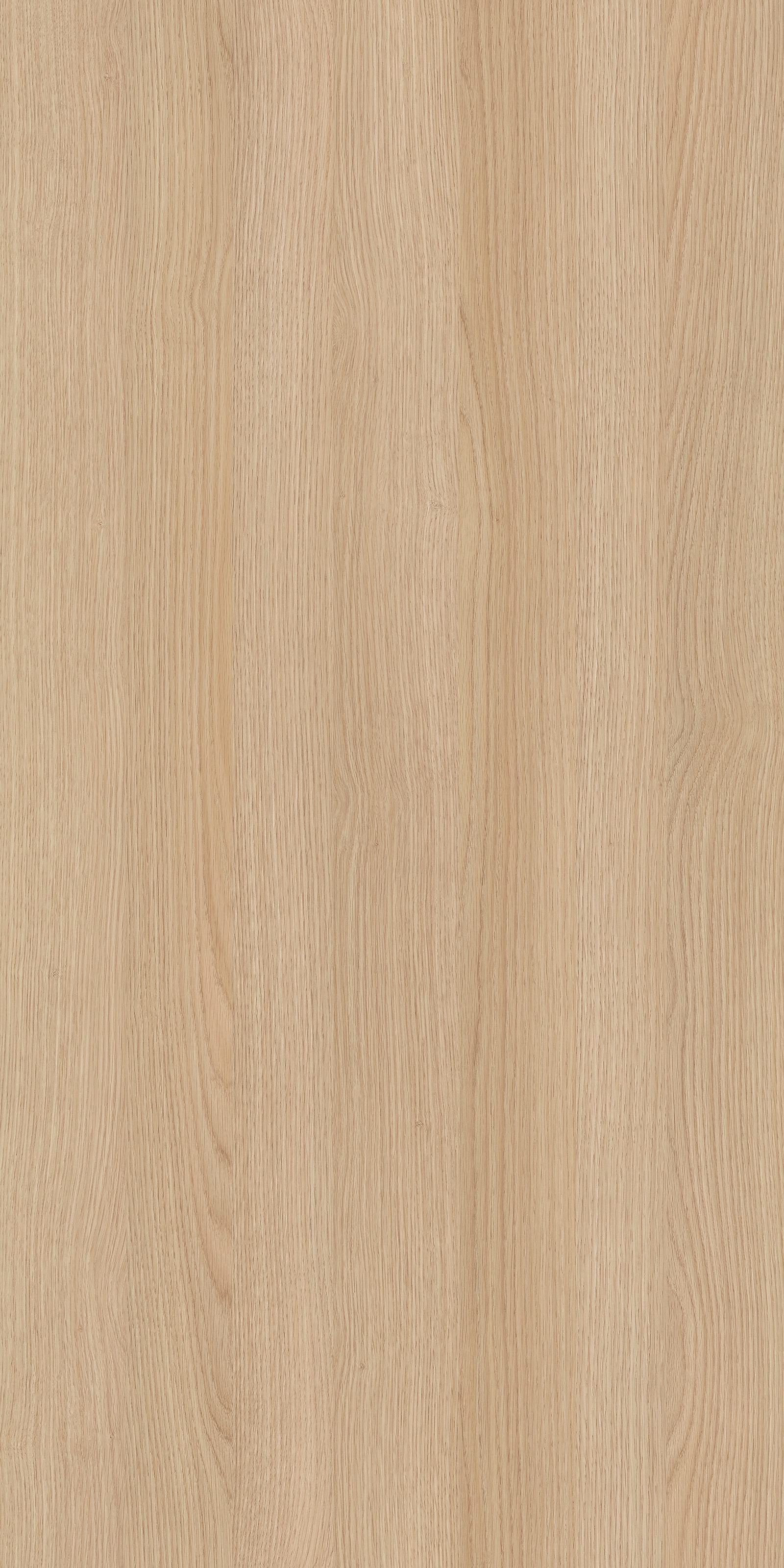 byLIVING Highboard »Bastian« 1 Stk. tlg. mit massiven Holzfüssen und Griffen, natürlicher Eichenlook, 120cm
