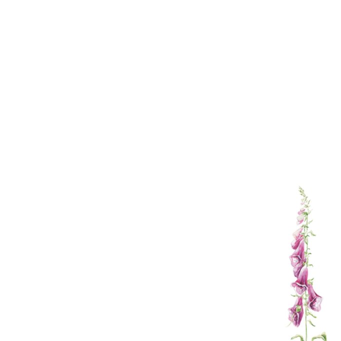 Janneke Brinkman | Beterschapskaart | Bloemen en vlinders