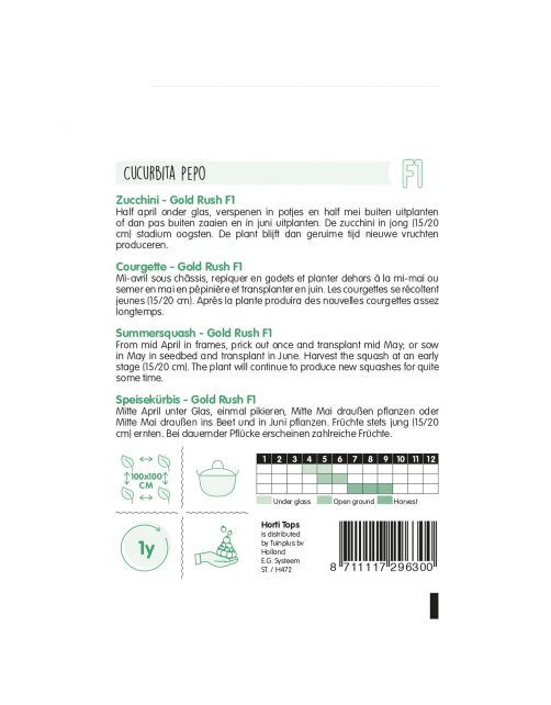 Hortitops Courgette Gold Rush F1 - Groentezaden - 2 g