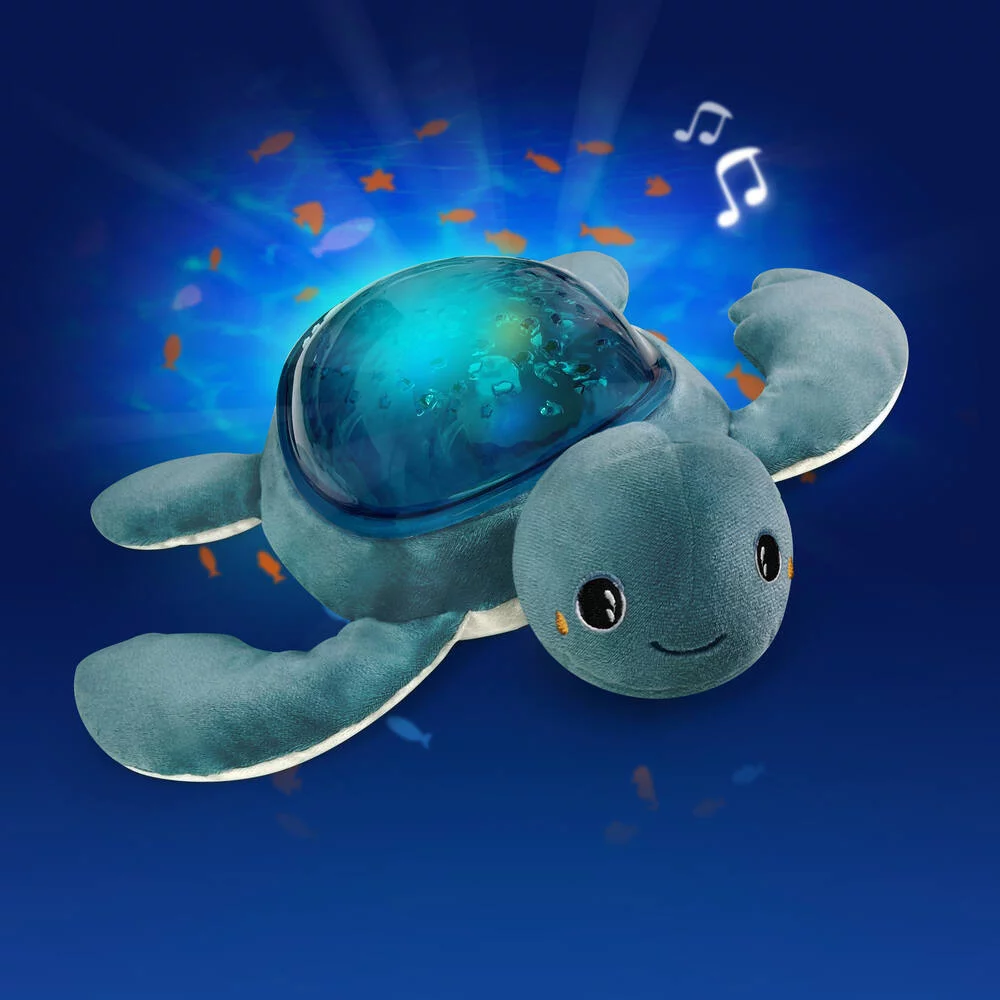 AQUA DREAM PROJECTEUR EFFETS AQUATIQUES