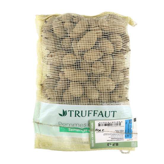 Plants de pommes de terre 'BF 15' en sac - 3 kg