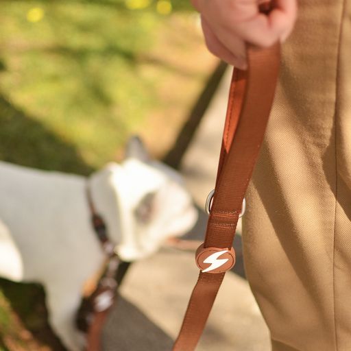 Guia para cães em nylon marrom Dashi