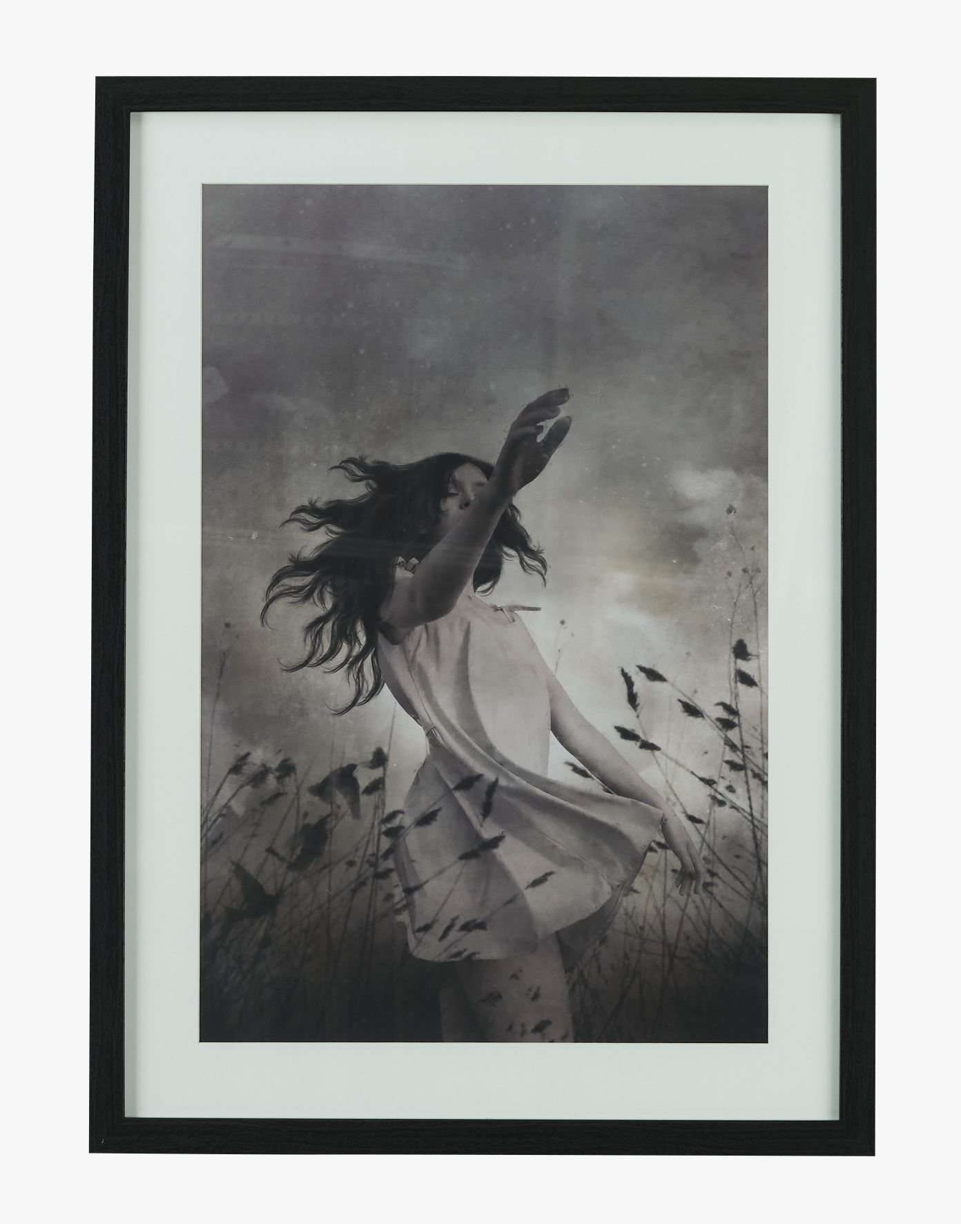Bilde svart - 50x70 cm