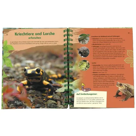moses. Das Wald-Forscherbuch