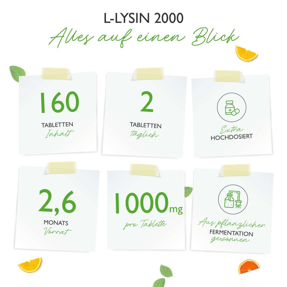 vit4ever L-Lysin