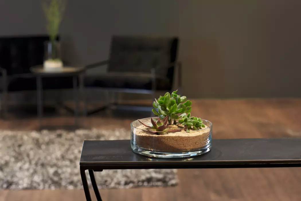 Schale Novara Ø 22,4 cm