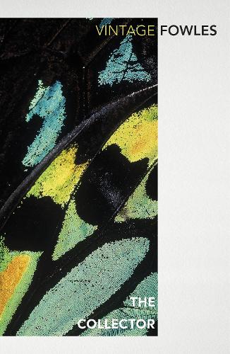 The Collector (Paperback)