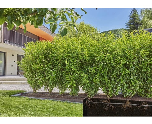 Gardena Set Droppslang 50m buskar / häckar komplett