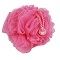 Beauty Success - Fleur de Massage Rose- Fleur de douche