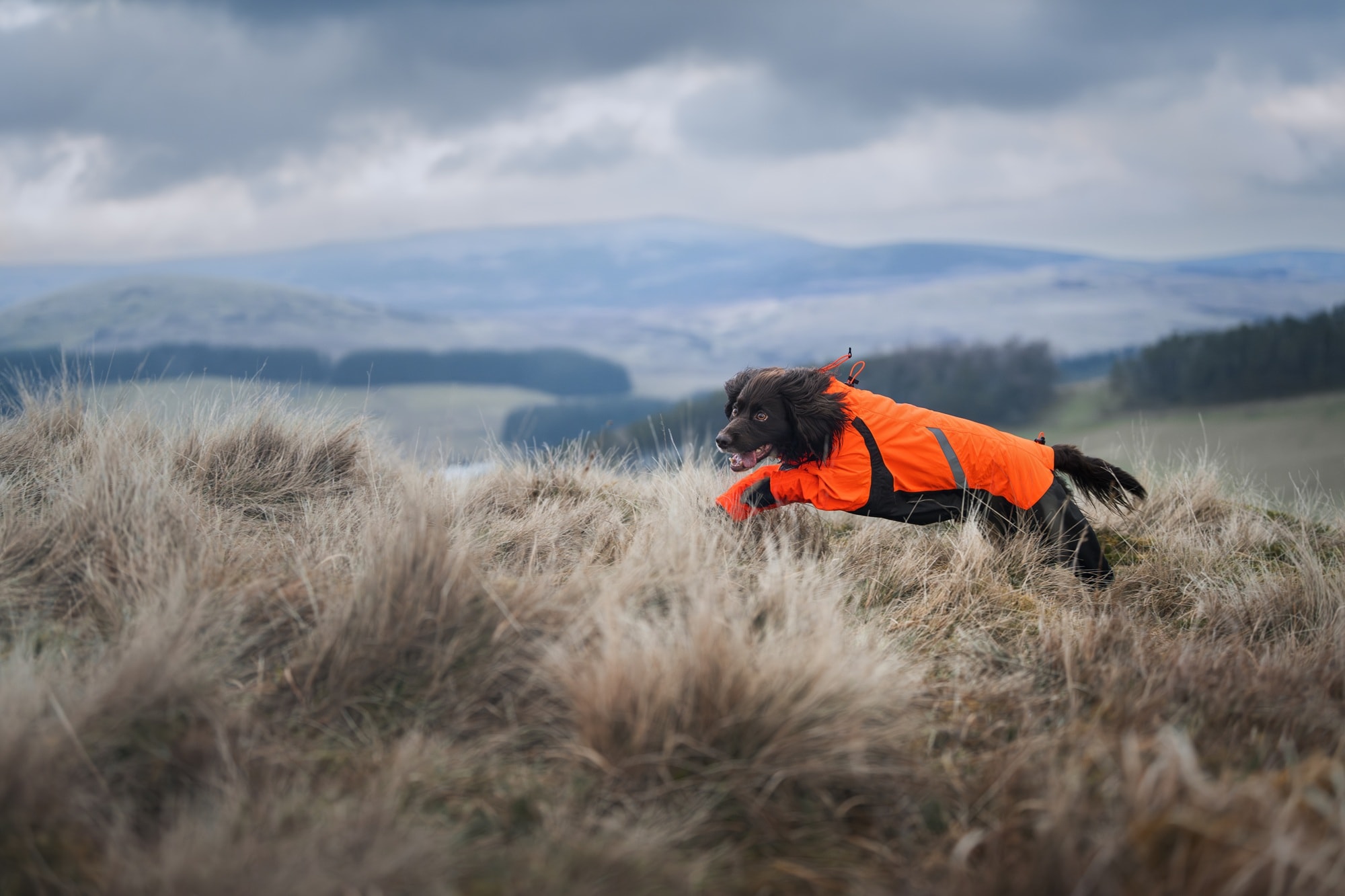 Non-Stop Dogwear Fjord Overall Raincoat<br> Vanntett og pustende regndekken!