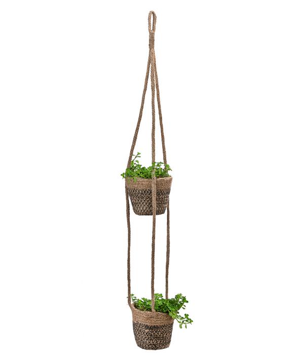 Juteampel-Duo mit Kanonierblume - Pilea